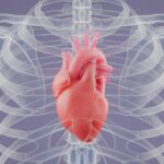 heart pump recall